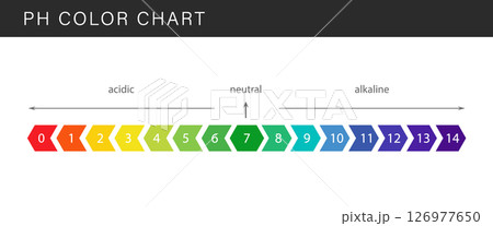 PH Scale. Gauge for acid and alkaline balance. Scale indicator for litmus paper test. Flat Vector illustration 126977650