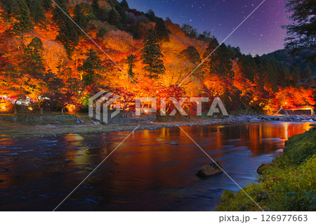 巴川沿いの美しい紅葉風景ライトアップ 126977663