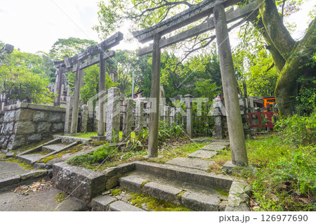 京都 伏見稲荷大社 末廣大神周辺 たくさんの塚や祠(茨谷エリア) 京都 伏見稲荷大社 末廣大神周辺 たくさんの塚や祠(茨谷エリア) 126977690