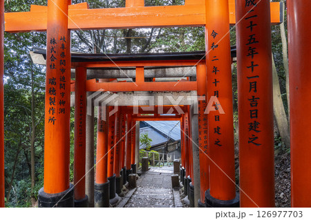 京都　伏見稲荷大社　千本鳥居　三ツ辻から四ツ辻へ 126977703