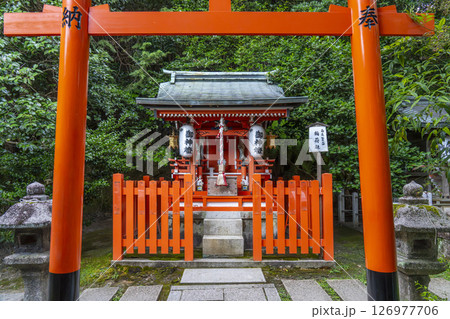 大豊神社　稲荷社（京都　哲学の道 ） 126977706