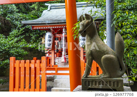 大豊神社 稲荷社と狛狐(京都 哲学の道 ) 大豊神社 稲荷社と狛狐(京都 哲学の道 ) 126977708