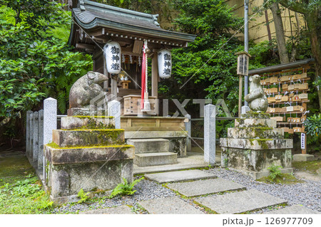 大豊神社 大国社と狛ねずみ(京都 哲学の道 ) 大豊神社 大国社と狛ねずみ(京都 哲学の道 ) 126977709