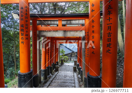 京都　伏見稲荷大社　千本鳥居　三ツ辻から四ツ辻へ 126977711