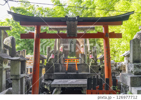 京都　伏見稲荷大社　白龍大神　 126977712