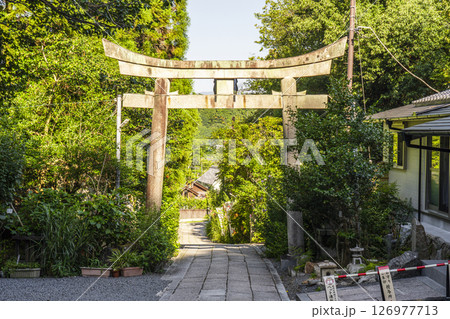 京都　哲学の道 　大豊神社　参道 126977713