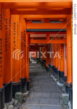 京都　伏見稲荷大社　千本鳥居　三ツ辻から四ツ辻へ 126977715