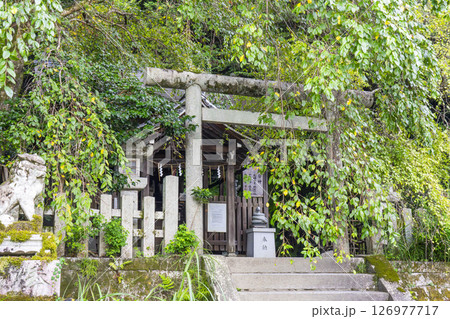 京都　哲学の道 　大豊神社　本殿 126977717