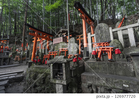 伏見稲荷大社　新池堤　おびただしい大量の社や塚 126977720