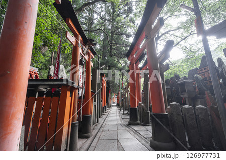 伏見稲荷大社　新池堤　おびただしい大量の社や塚 126977731