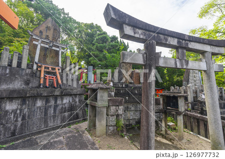 京都 伏見稲荷大社 末廣大神周辺 たくさんの塚や祠(茨谷エリア) 京都 伏見稲荷大社 末廣大神周辺 たくさんの塚や祠(茨谷エリア) 126977732