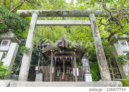 京都 哲学の道 大豊神社 本殿 京都 哲学の道 大豊神社 本殿 126977734