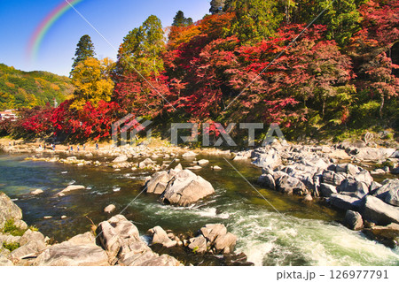 巴川沿いの美しい紅葉風景・香嵐渓 巴川沿いの美しい紅葉風景・香嵐渓 126977791