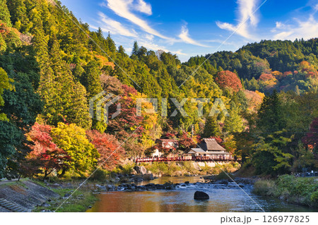 巴川沿いの美しい紅葉・香嵐渓 126977825
