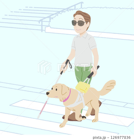 手描き風の横断歩道を渡る盲導犬 126977836