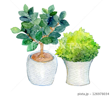 水彩イラスト 屋内の観葉植物 水彩イラスト 屋内の観葉植物 126978034