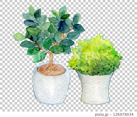 水彩イラスト 屋内の観葉植物 水彩イラスト 屋内の観葉植物 126978034