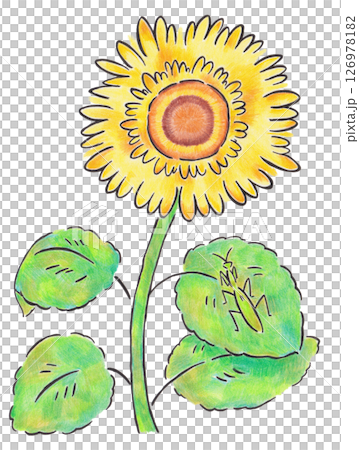 向日葵和螳螂插圖 126978182