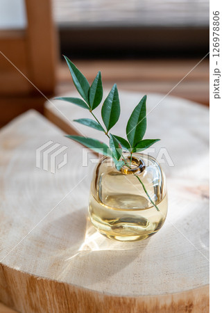 和モダンな空間に飾られた小さなグリーン 126978806