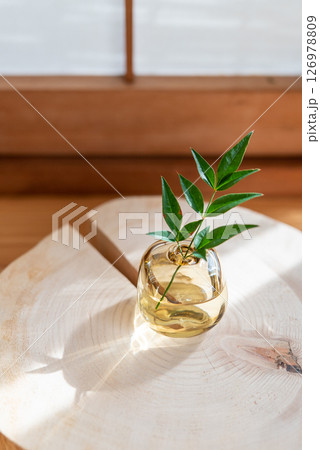 和モダンな空間に飾られた小さなグリーン 126978809