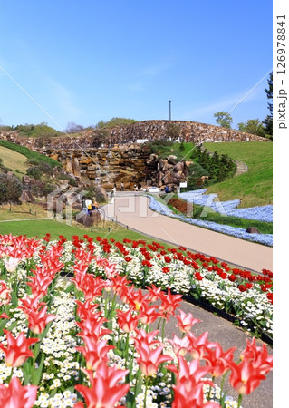 【香川県】国営讃岐まんのう公園(昇竜の滝とお花畑) 【香川県】国営讃岐まんのう公園(昇竜の滝とお花畑) 126978841