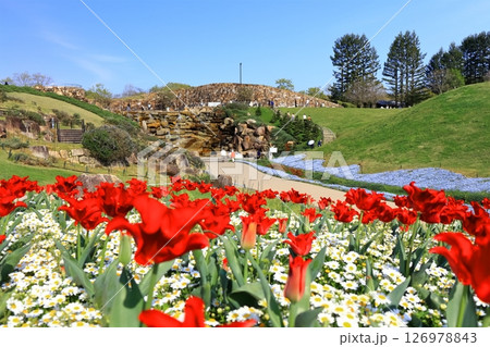【香川県】国営讃岐まんのう公園（昇竜の滝とお花畑） 126978843