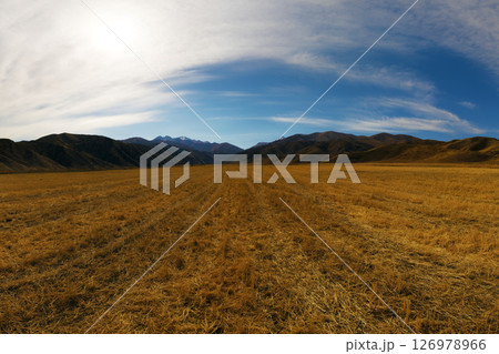Vast Harvested Field in Mountain Valley 126978966