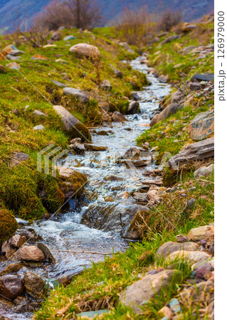 Clear stream flowing over mossy rocks. 126979000