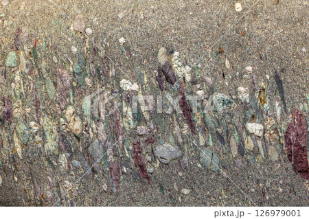 Close-up of Anisotropic Sedimentary Metamorphic Rock with Recrystallized Pebbles Close-up of Anisotropic Sedimentary Metamorphic Rock with Recrystallized Pebbles 126979001