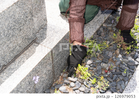 お墓の除草をしているシニア女性 126979053