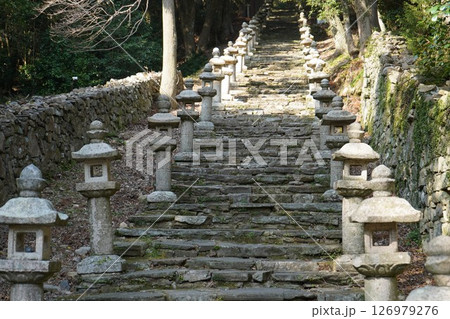 万松院石階段 126979276