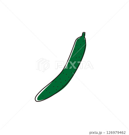 野菜　シンプルイラスト　きゅうり 126979462