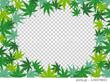 青楓框架材質-青紅葉 126979601