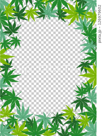 青楓框架材質-青紅葉 126979602