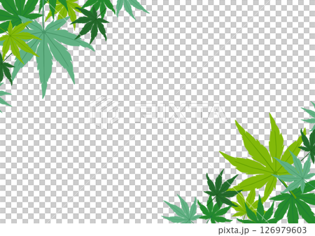青紅葉のフレーム素材 126979603