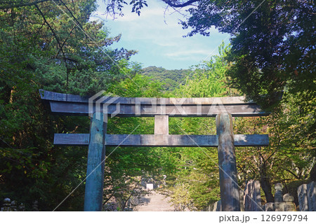 香川県金比羅宮参道桜の馬場の鳥居 126979794