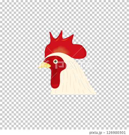 動物 ニワトリ イラスト 動物 ニワトリ イラスト 126980301