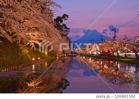弘前公園　夕焼けの岩木山とライトアップの桜並木 126981392