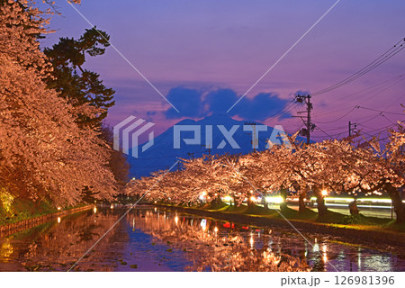 弘前公園 夕焼けの岩木山とライトアップの桜並木 弘前公園 夕焼けの岩木山とライトアップの桜並木 126981396