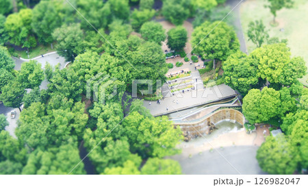 新緑の季節の公共広場の様子 新緑の季節の公共広場の様子 126982047