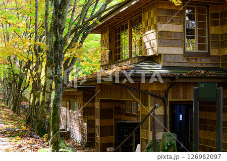 イタリア大使館別荘記念公園　本邸と秋の紅葉 126982097