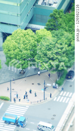新緑の季節の交差点付近の様子 新緑の季節の交差点付近の様子 126982116