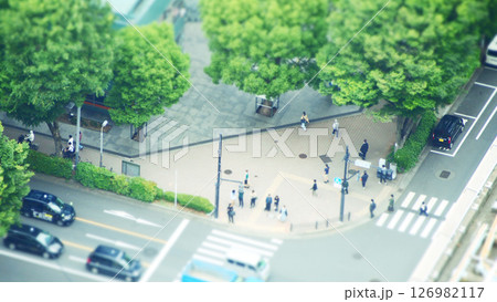 新緑の季節の交差点付近の様子 126982117