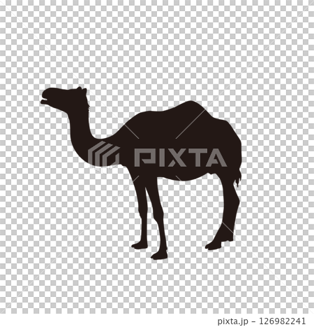 One-humped camel silhouette simple illustration One-humped camel silhouette simple illustration 126982241