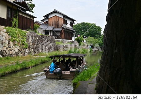 近江八幡堀 アヤメ 近江八幡堀 アヤメ 126982564