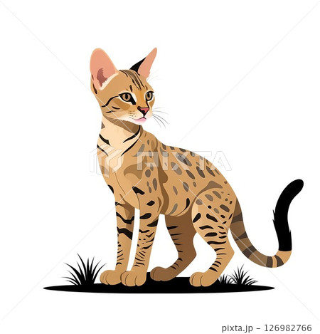 野性味あふれるサバンナキャットの挿絵イラスト 野性味あふれるサバンナキャットの挿絵イラスト 126982766