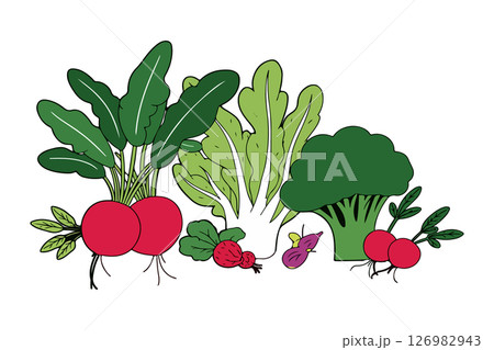 Assorted Vegetables Illustration 126982943