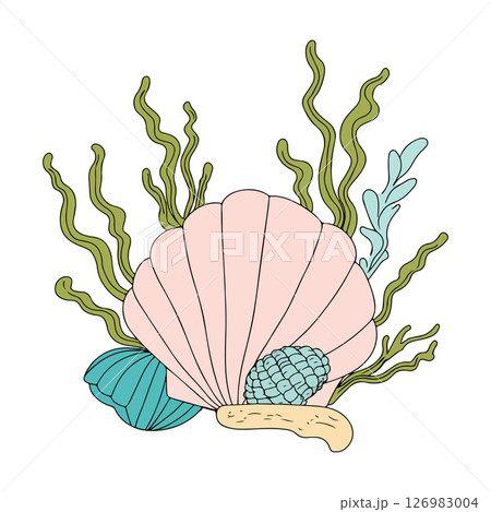 Seashells and Seaweed Illustration 126983004