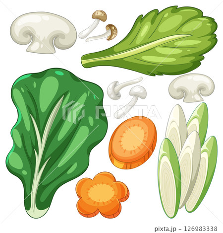 Colorful Vector Illustration of Fresh Vegetables 126983338
