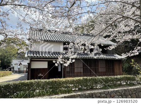 紀伊風土記の丘・旧柳川家住宅 紀伊風土記の丘・旧柳川家住宅 126983520